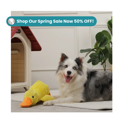 MrBarks Calming Duck - 50% OFF