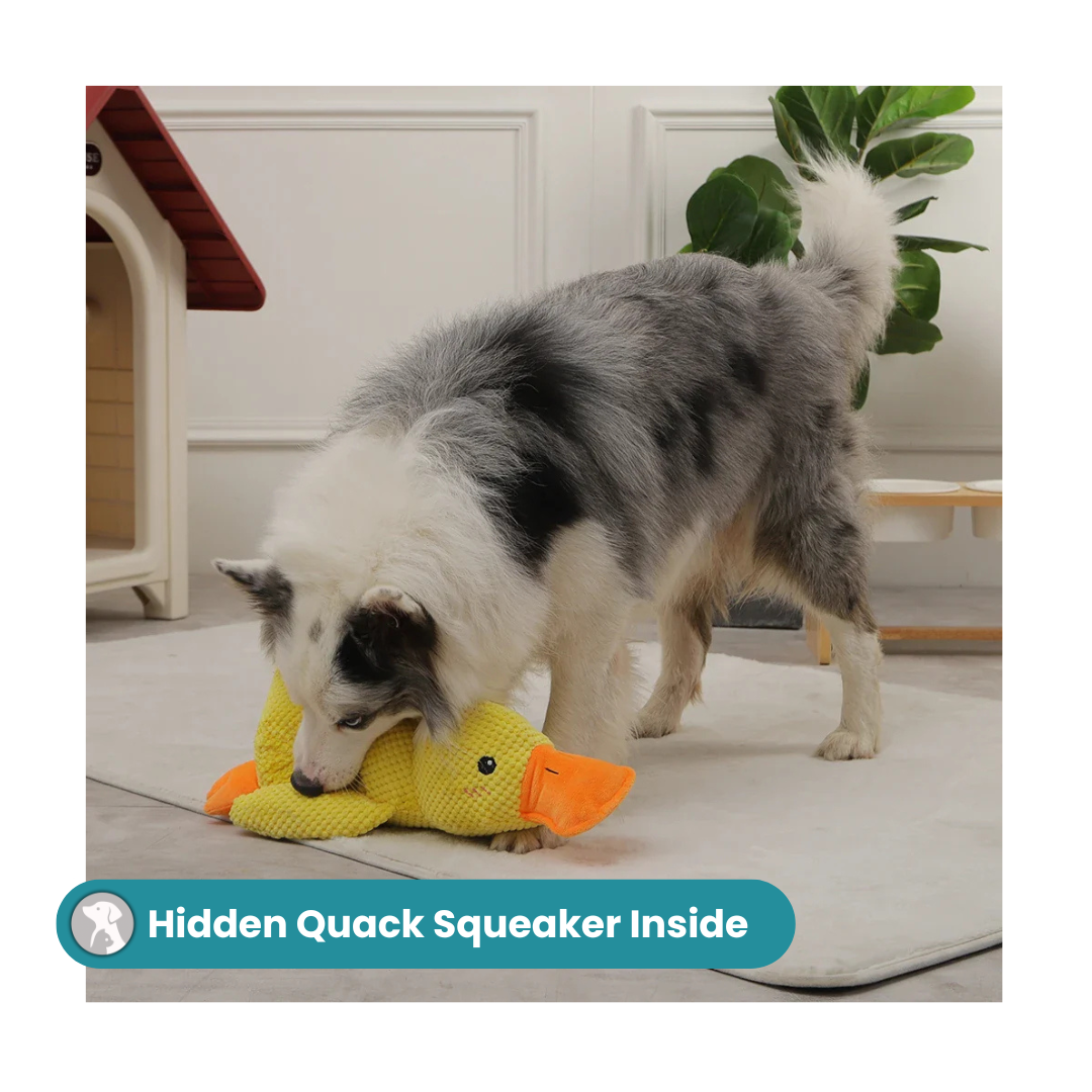 MrBarks Calming Duck - 50% OFF