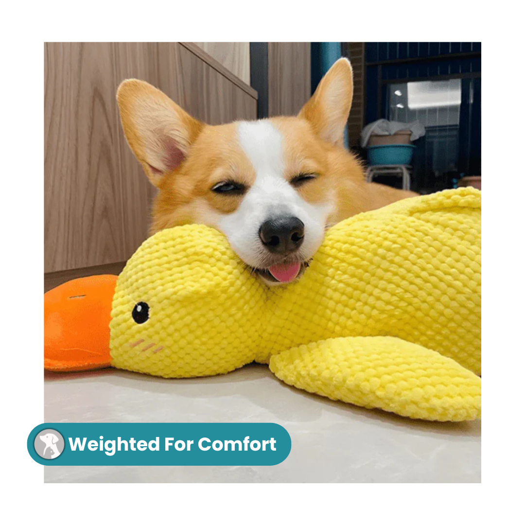 MrBarks Calming Duck - 50% OFF