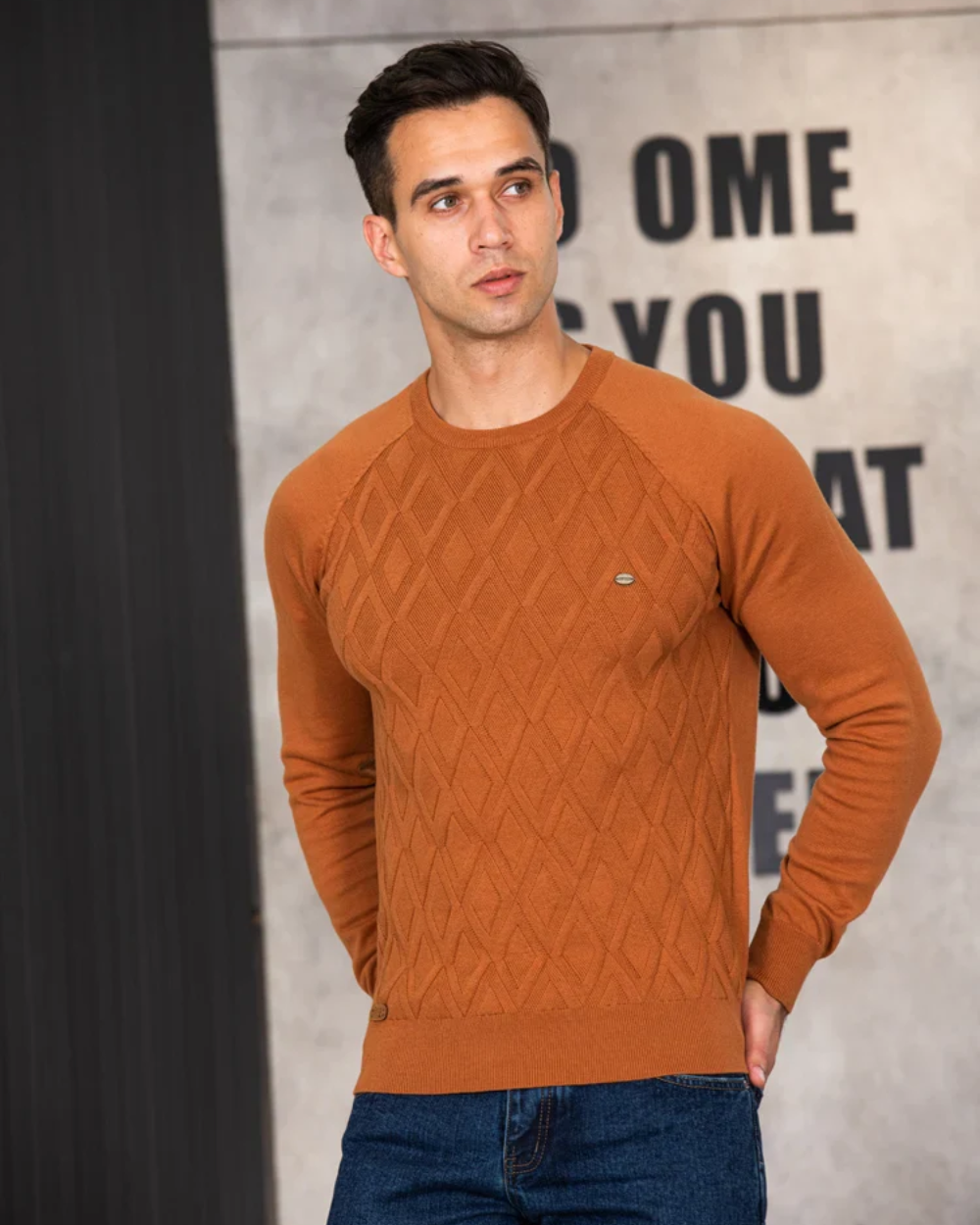 Herresweater med Ternet Design V2