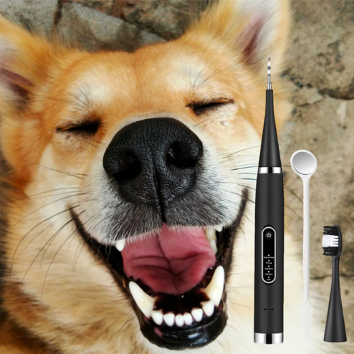 Ennela TeethWand™