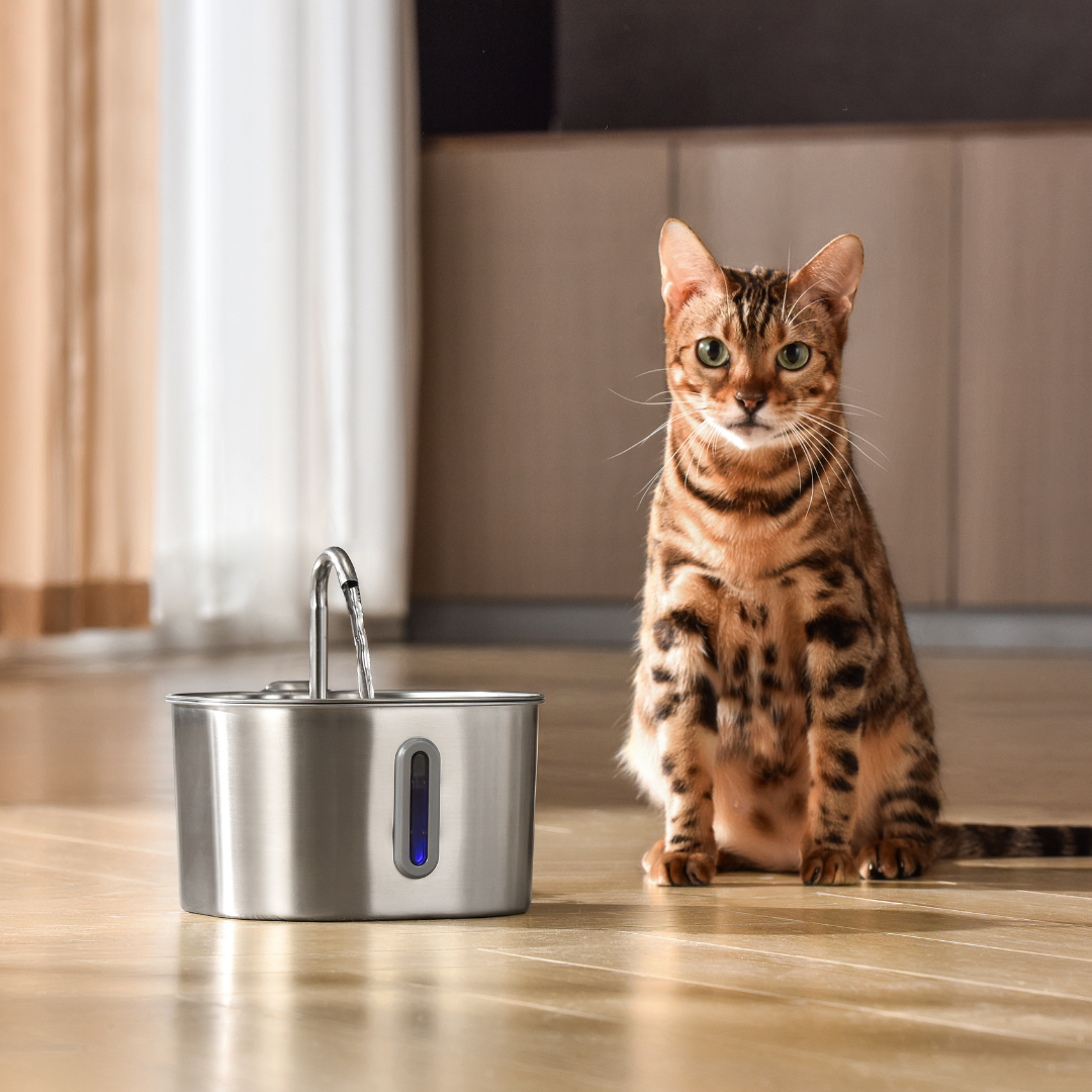 KittySpout™ - 2,2-Liter-Trinkbrunnen-Set für 2 Monate
