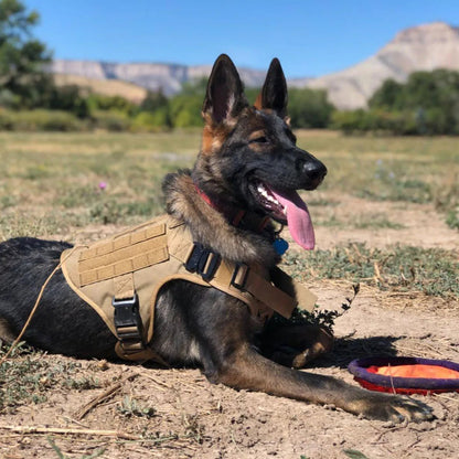 Tactical Dog Harness Heavy Duty Handle 1050D Nylon MOLLE No-Pull Adjustable Large Breeds Training Outdoor Walking Harness Metal D-Ring | Koossa