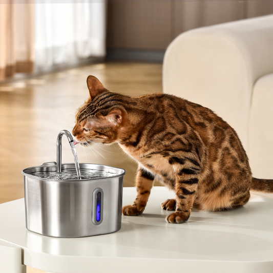 KittySpout™ - 2,2-Liter-Trinkbrunnen-Set für 2 Monate