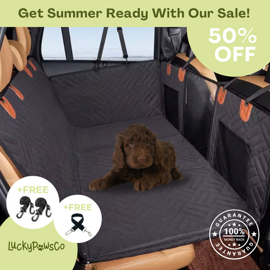 LuckyPawsCo Hard Bottom Dog Seat - BLACK FRIDAY SALE