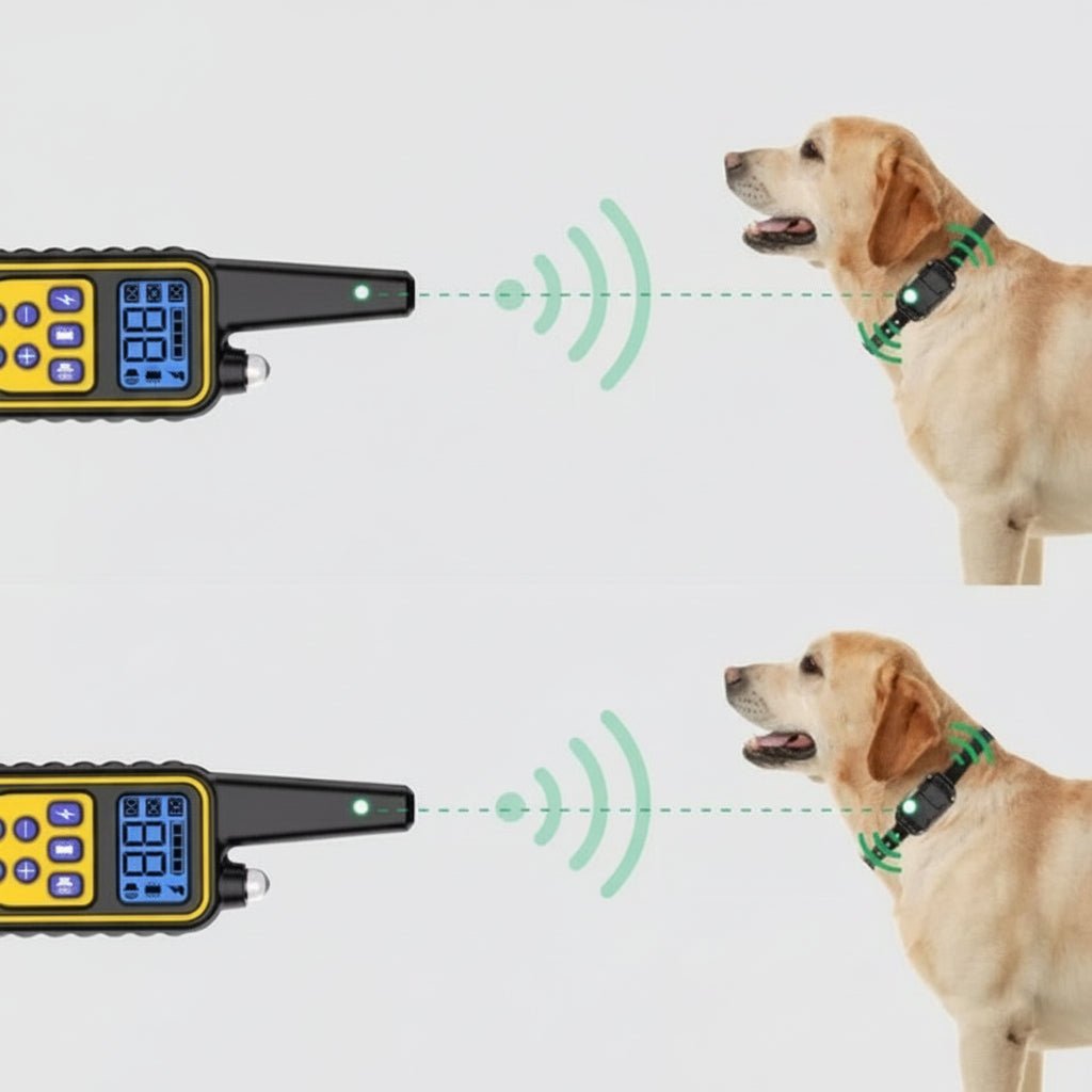 Vandtæt Hundetræningshalsbånd med Fjernbetjening og Justerbar Styrke