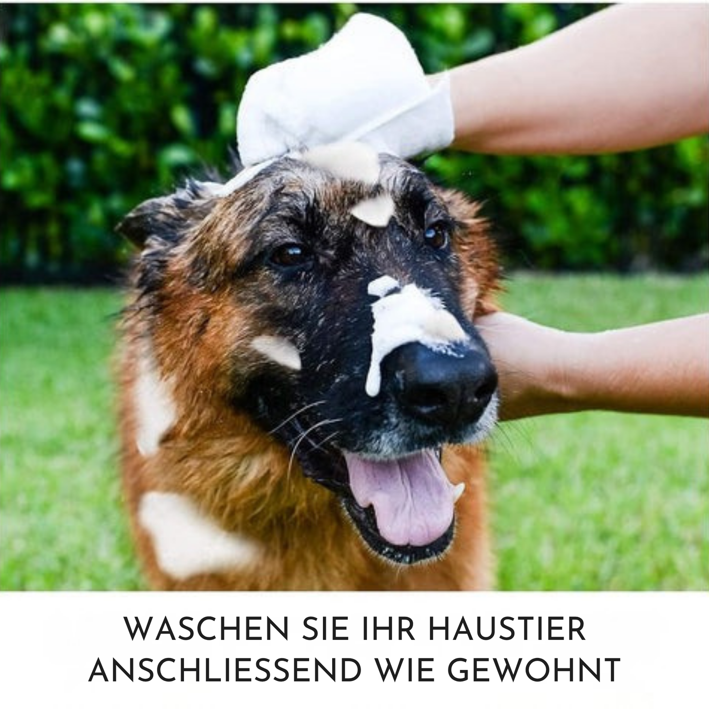 FellFrisch – Pflegehandschuh Reinigungstücher