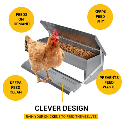 Heavy Large 5Kg Treadle Automatic Farm Poultry Feeder Kit