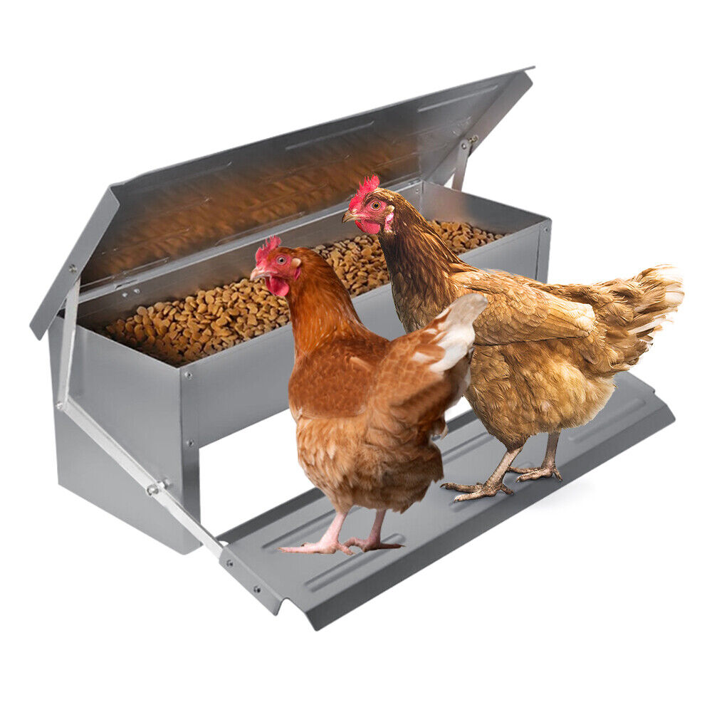 Heavy Large 5Kg Treadle Automatic Farm Poultry Feeder Kit