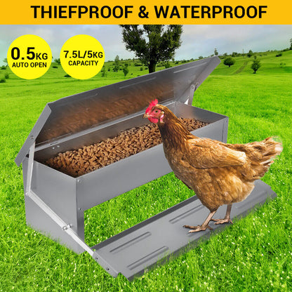 Heavy Large 5Kg Treadle Automatic Farm Poultry Feeder Kit