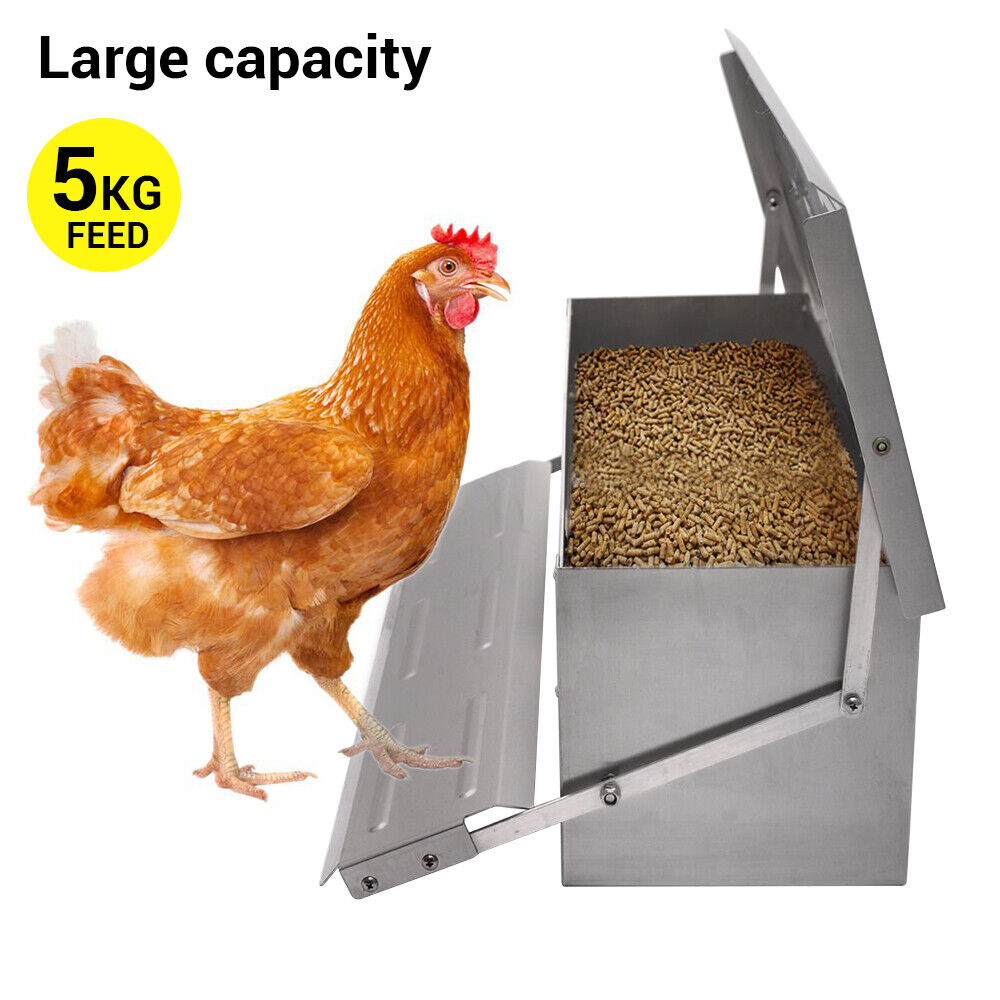 Heavy Large 5Kg Treadle Automatic Farm Poultry Feeder Kit