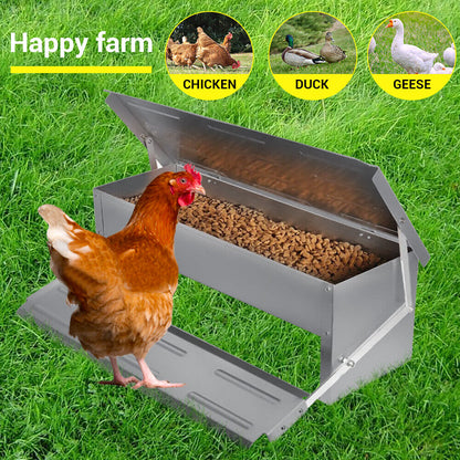 Heavy Large 5Kg Treadle Automatic Farm Poultry Feeder Kit