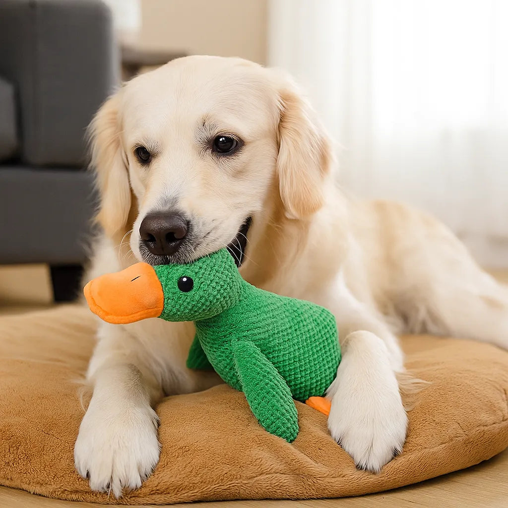 QuackPaw™ Squeaky Duck Dog Toy