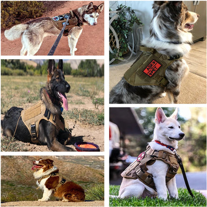 Tactical Dog Harness Heavy Duty Handle 1050D Nylon MOLLE No-Pull Adjustable Large Breeds Training Outdoor Walking Harness Metal D-Ring | Koossa