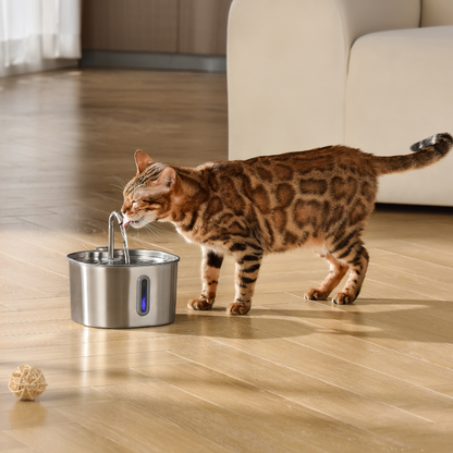 KittySpout™ - 2,2-Liter-Trinkbrunnen-Set für 2 Monate