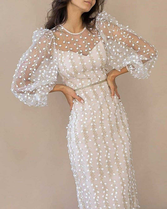 Damen Transparentes Kleid mit Transparenten Puffärmeln und Blumenstickerei