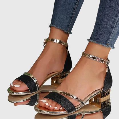 Womens Ankle Strap Block Heel Sandals