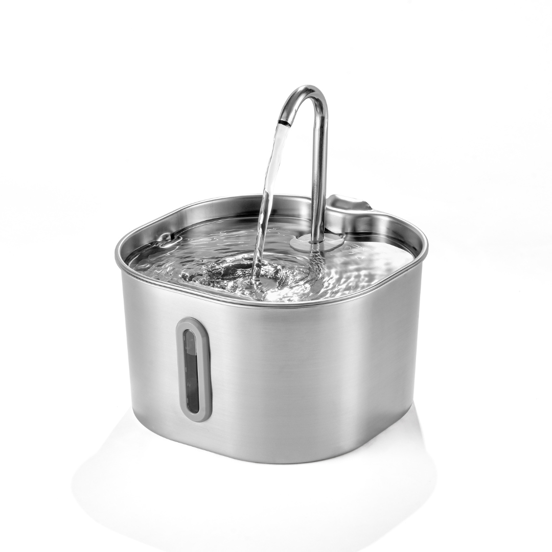 KittySpout™ - 2,2-Liter-Trinkbrunnen-Set für 2 Monate