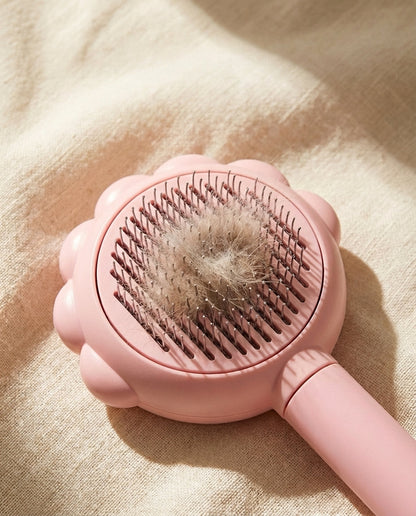 Bloom Groom