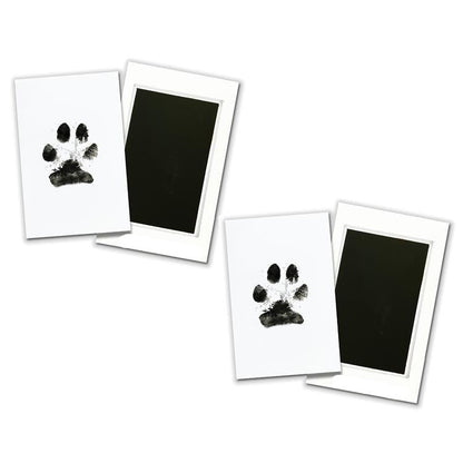 Paw Print Stamp Pad