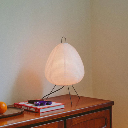 Absolutely Necessary Lamp-Dennis Did It