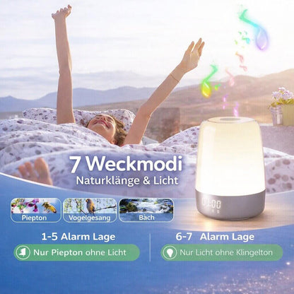 Tageslicht Wecker | Tageslichtlampe | Wake Up Light | LichtRise