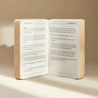 Holy Bible Pillow Book