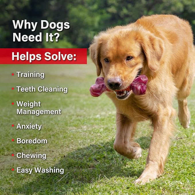 Apasiri Dog Toy Dog Chew Toy Durable for Large Chewers Tough Bone for Extreme Chewers Large Dogs Training Nylon Rubber Almost Indestructible Long Lasting Teething