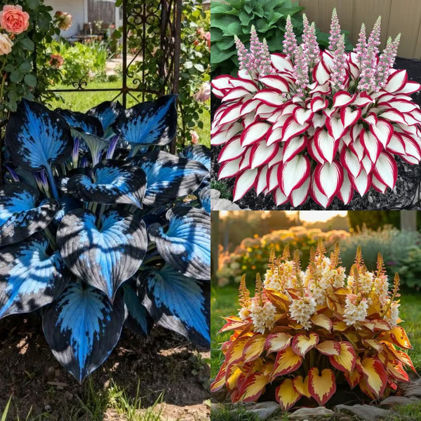 VerdantEase™ Seeds — Watch Your Darkest Corners Burst into Lush, Colorful Life with Zero Hassle