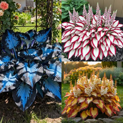 VerdantEase™ Seeds — Watch Your Darkest Corners Burst into Lush, Colorful Life with Zero Hassle
