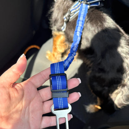 Pet Seat Belt Leash stemningsbillede
