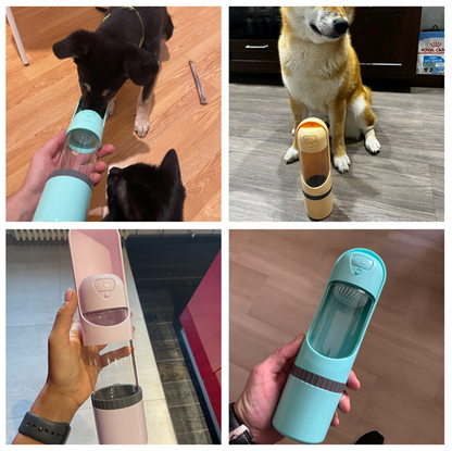 Tragbare Hundewasserflasche, auslaufsicher, blau und rosa, ideal für unterwegs.