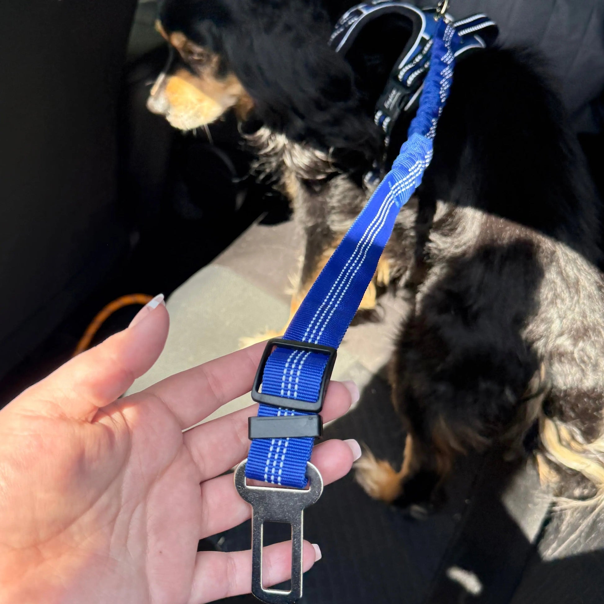 Pet Seat Belt Leash billede 12