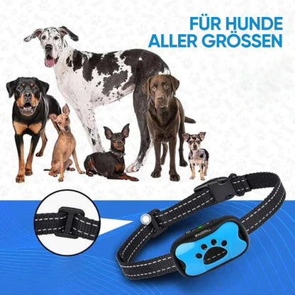 Oplaadbare, waterdichte hondentrainer