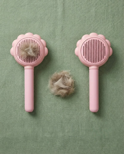 Bloom Groom