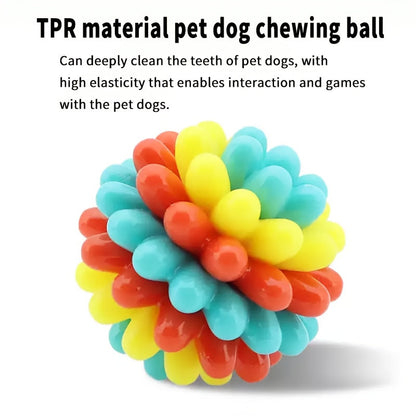 Dog Dental Chew Ball Toy – Rubber Teething & Teeth Cleaning Toy for Dogs