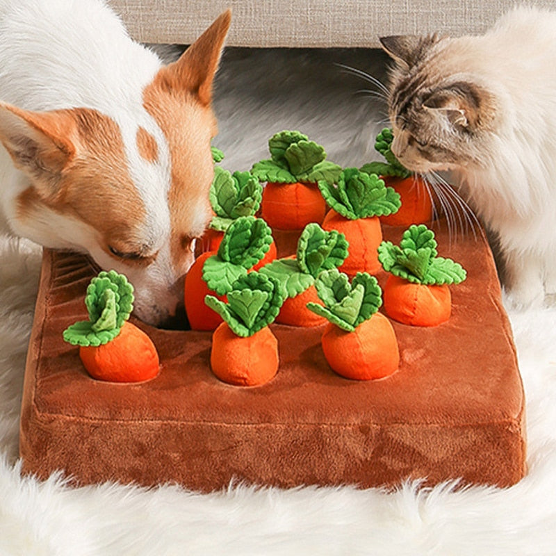 Pet Carrot Training/Stress Relief Plush™