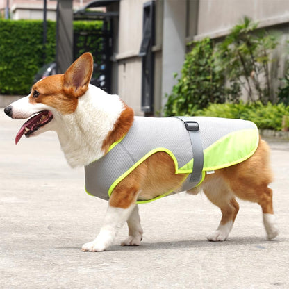 CoolVest oversigt