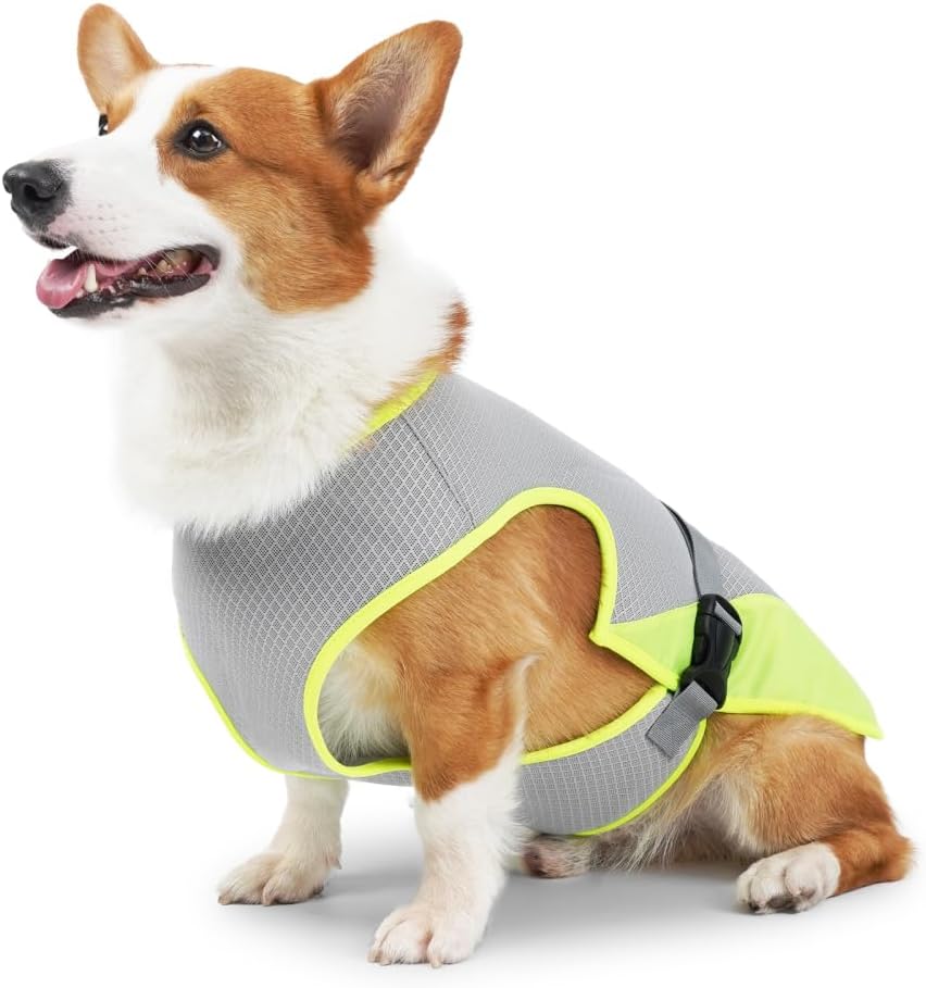 CoolVest hundevest set fra siden