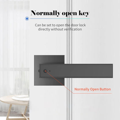 Smart Fingerprint Door Lever Lock with Key Access & 30 User Capacity – Nivora