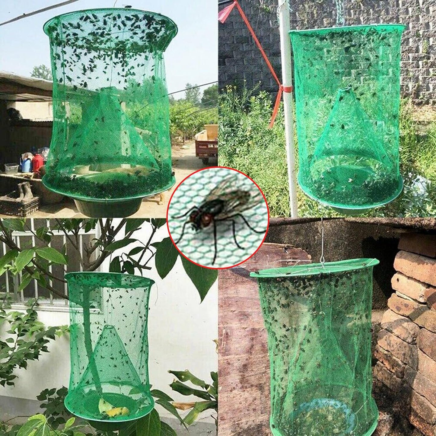 TrapSavage — Erase Every Annoying Fly and Enjoy True Peace Instantly