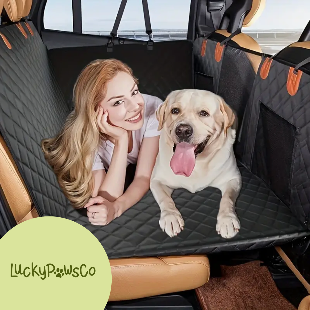 LuckyPawsCo Hard Bottom Dog Seat - BLACK FRIDAY SALE