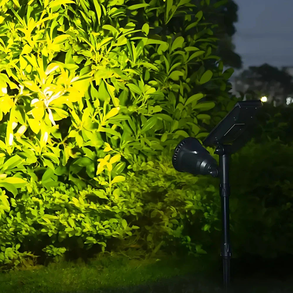 SunBlaze | Ultra Heldere Solar Spot