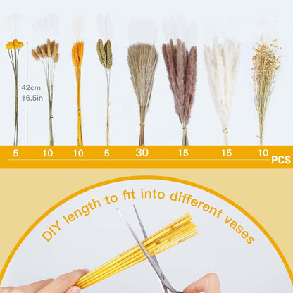 Sosayet Pampas Secas Decoração, 100 Peças Flores Secas Naturais 40-44 cm, Ramos de Flores Secas Naturais Decoração para a Casa, Erva de Pampa Fofa para Decoração Boho Festas Casamentos
