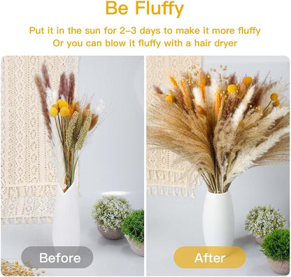Sosayet Pampas Secas Decoração, 100 Peças Flores Secas Naturais 40-44 cm, Ramos de Flores Secas Naturais Decoração para a Casa, Erva de Pampa Fofa para Decoração Boho Festas Casamentos