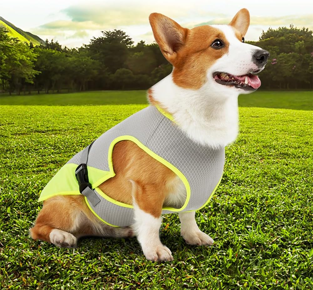 Hund med CoolVest på en varm dag