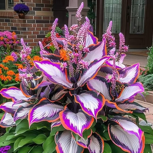 VerdantEase™ Seeds — Watch Your Darkest Corners Burst into Lush, Colorful Life with Zero Hassle