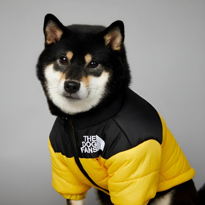 Puffer Dog Coat
