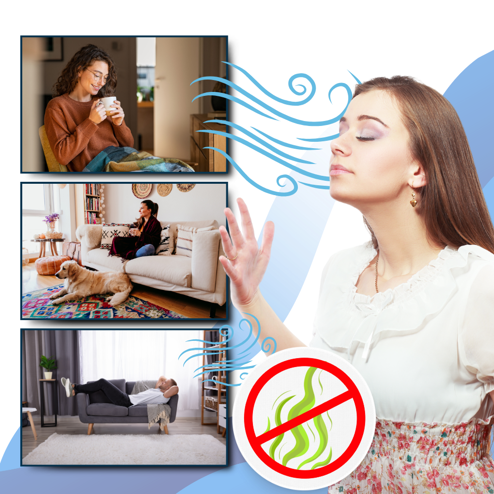 UV-C Desinfektionslampe gegen Bettwanzen und Bakterien