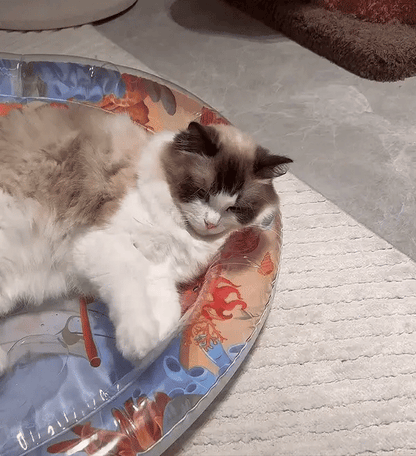 Interaktív Macska Játék Oroszlámpa - PurrPulse